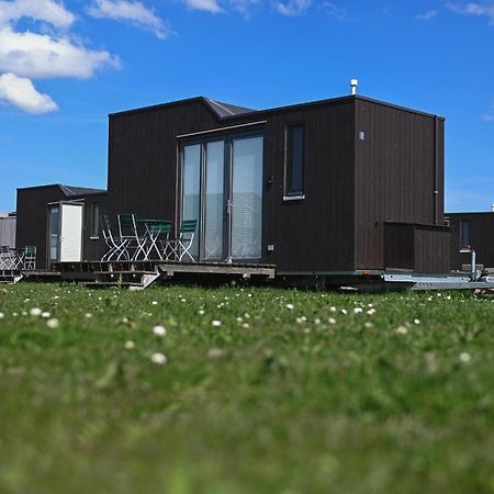 Tiny House Nature 8 Innenlage - Green Tiny Village Harlesiel Carolinensiel Exterior photo